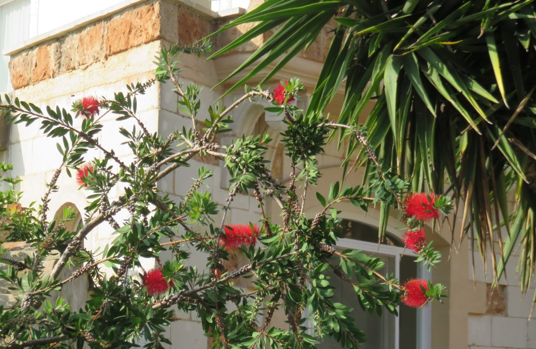 L'amore (testo musica Michele Bortone)