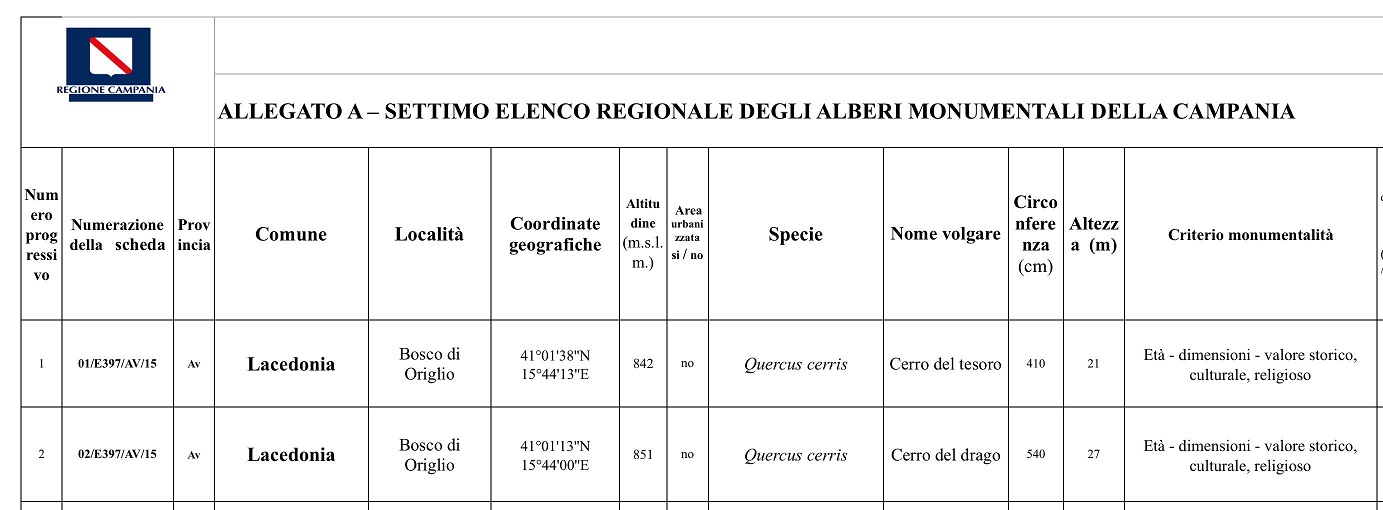 DECRETO COMUNE DI LACEDONIA..jpg10